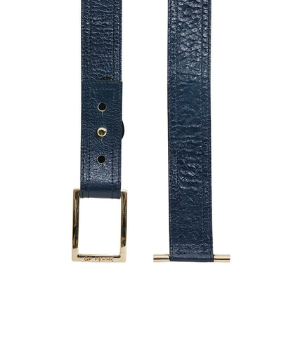 GF Ferre Blue Belt